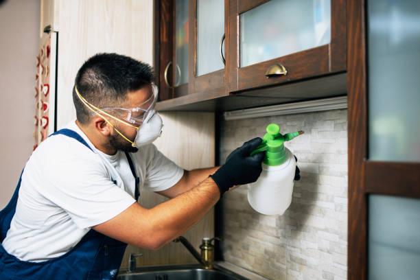 Best Pest Removal Services  in Marianne, PA