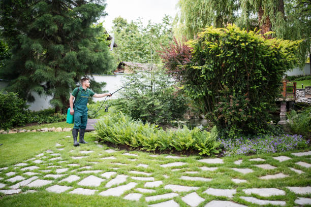 Best Best Pest Control Companies  in Marianne, PA