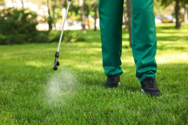 Best Insect Control  in Marianne, PA