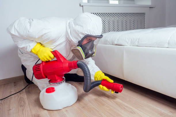 Wasp Removal Services in Marianne, PA