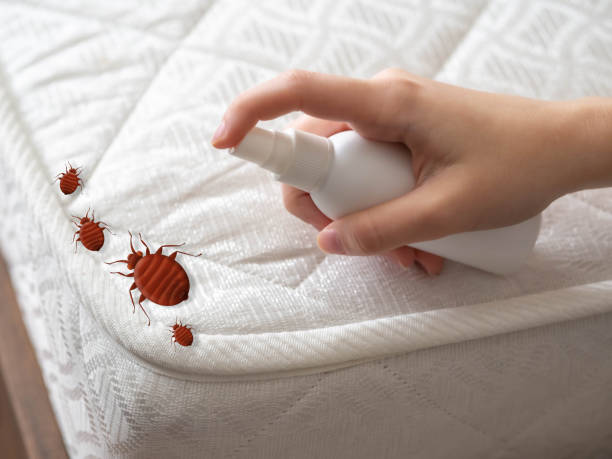 Best Pest Control Near Me  in Marianne, PA