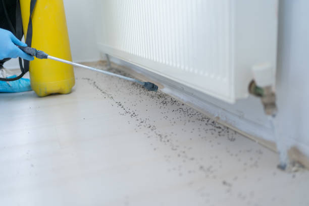 Best Residential Pest Control  in Marianne, PA