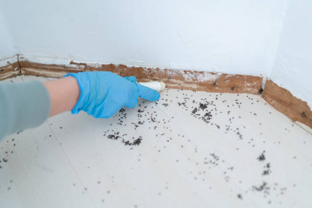 Best Pest Control Treatment  in Marianne, PA